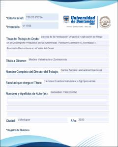 Imagen en miniatura