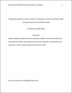 Imagen en miniatura