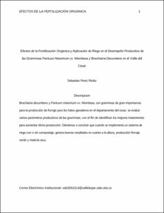Imagen en miniatura